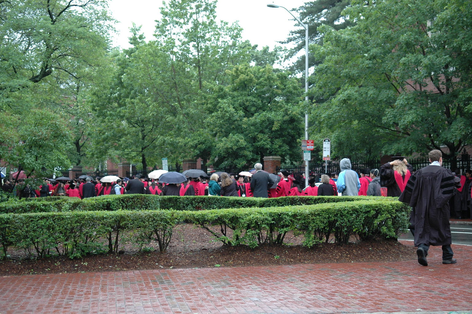 dsc_5317.jpg