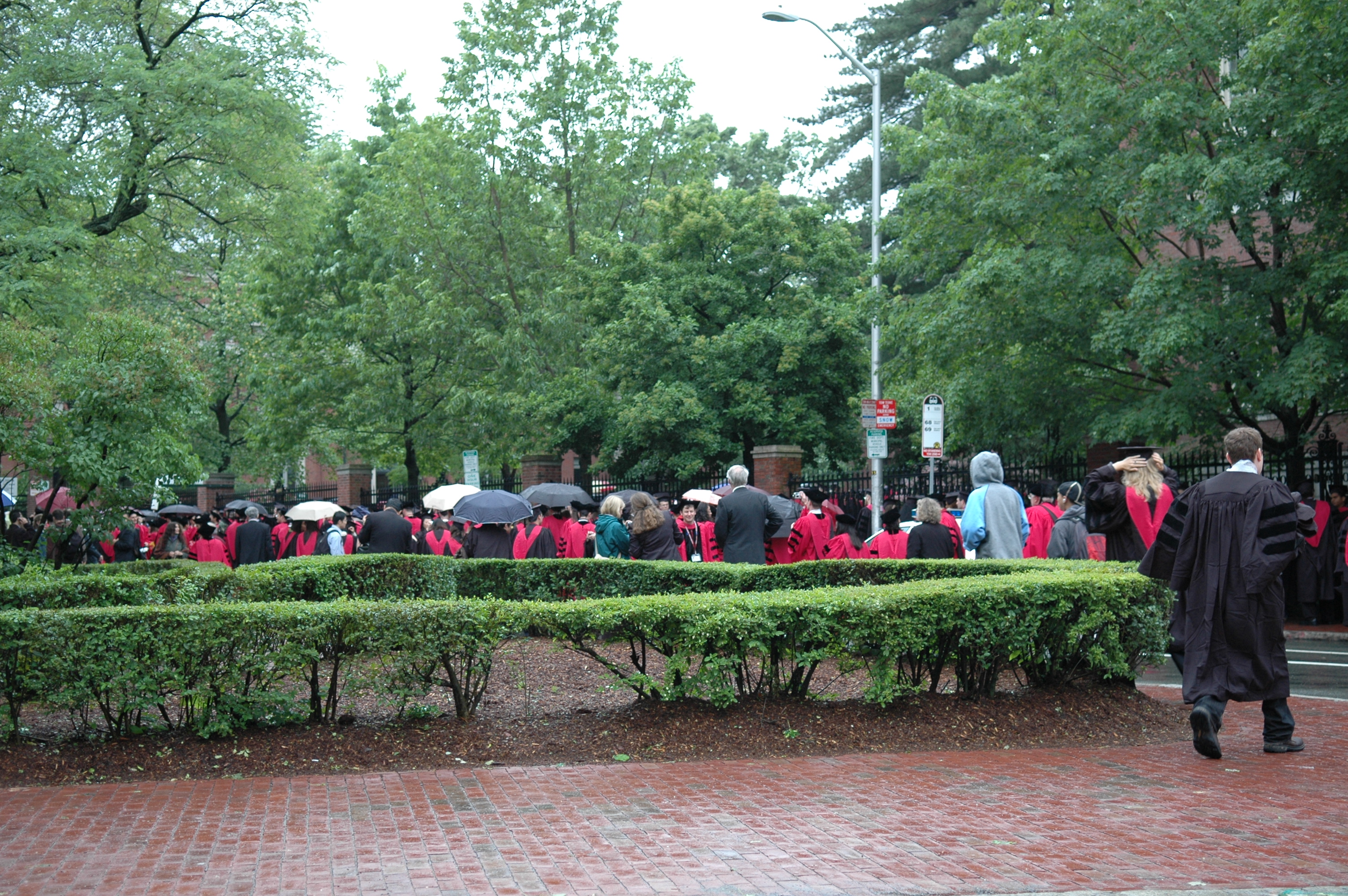 dsc_5317.jpg