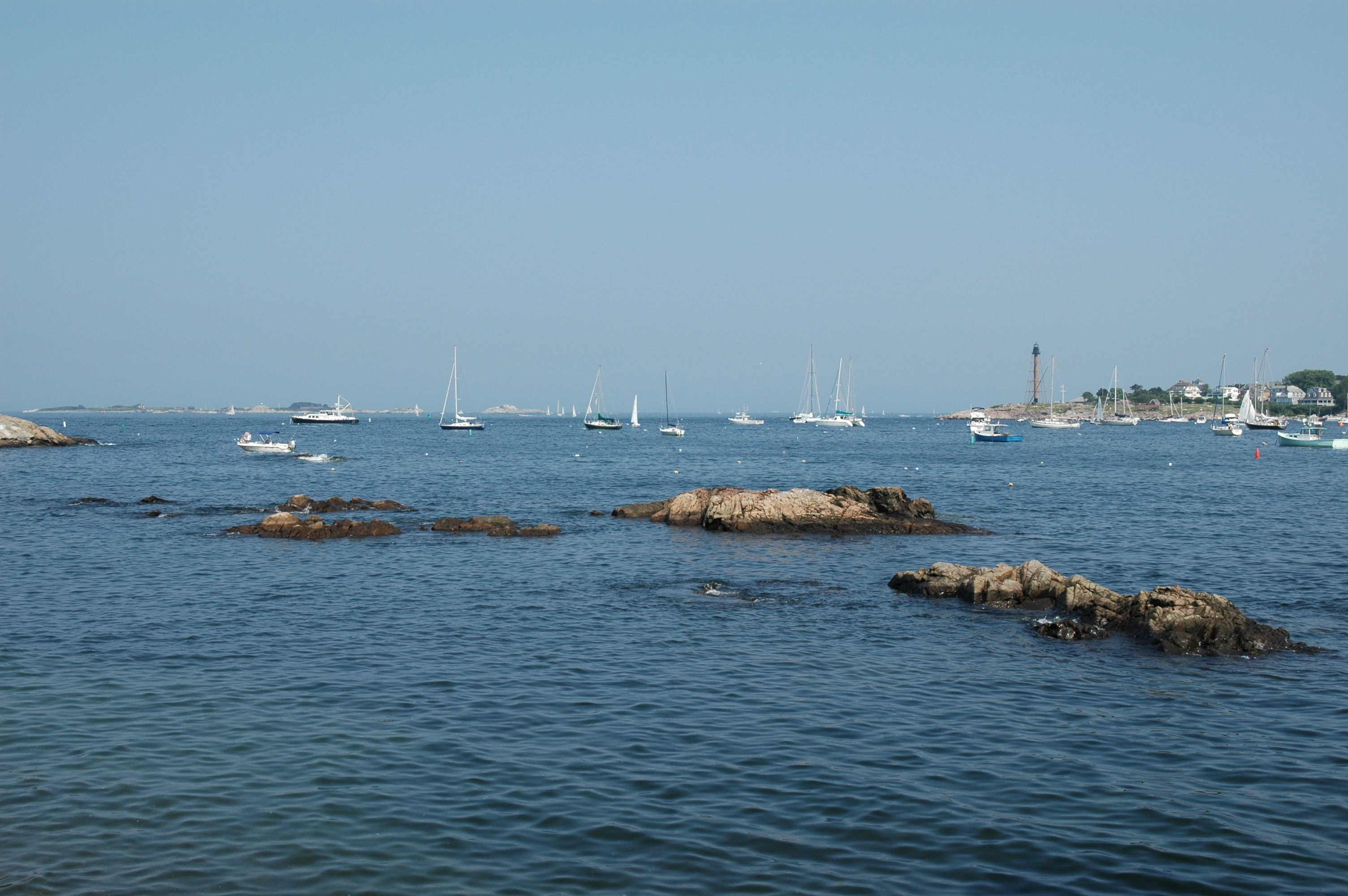 dsc_5454.jpg