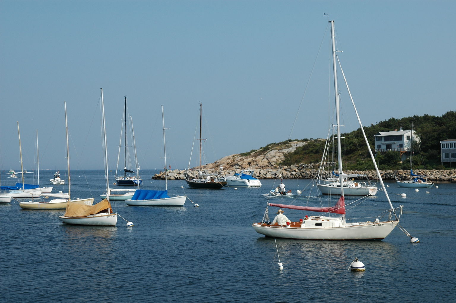 dsc_6125.jpg
