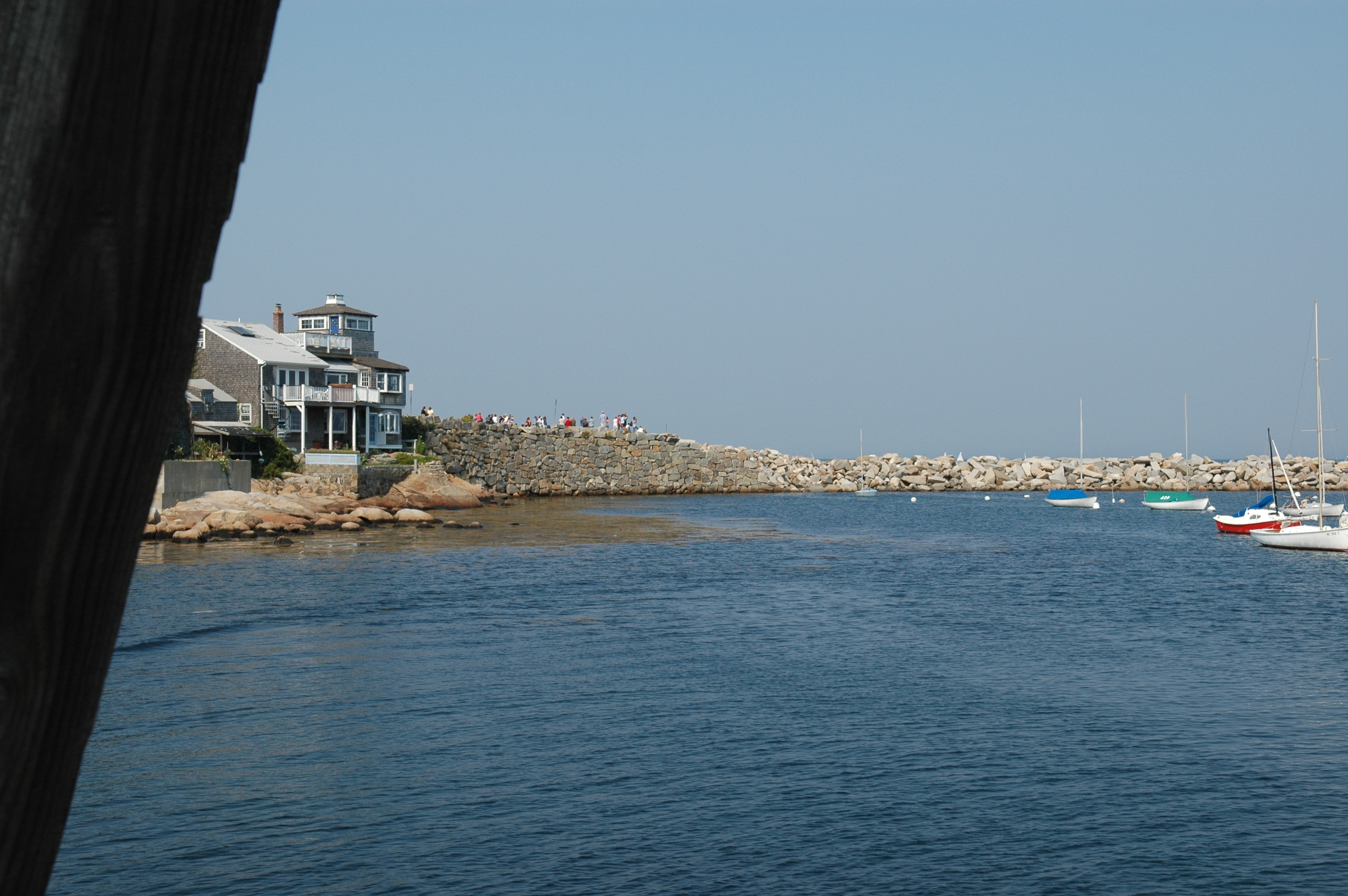 dsc_6126.jpg