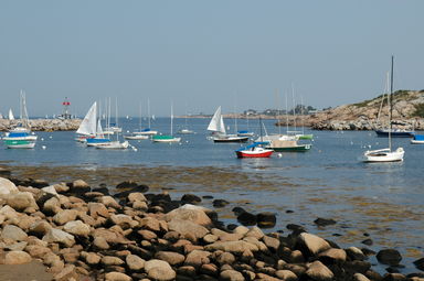 dsc_6145.jpg