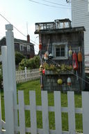 dsc_6160.jpg