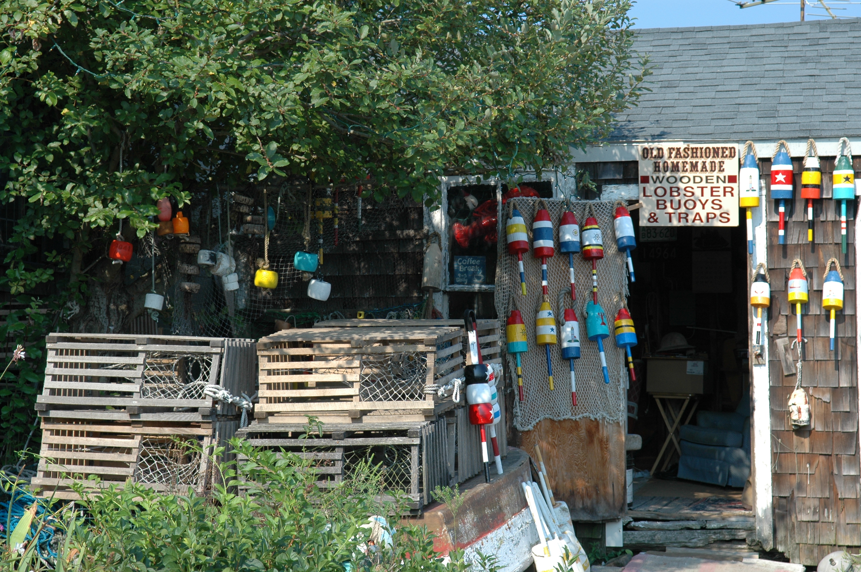 dsc_6200.jpg