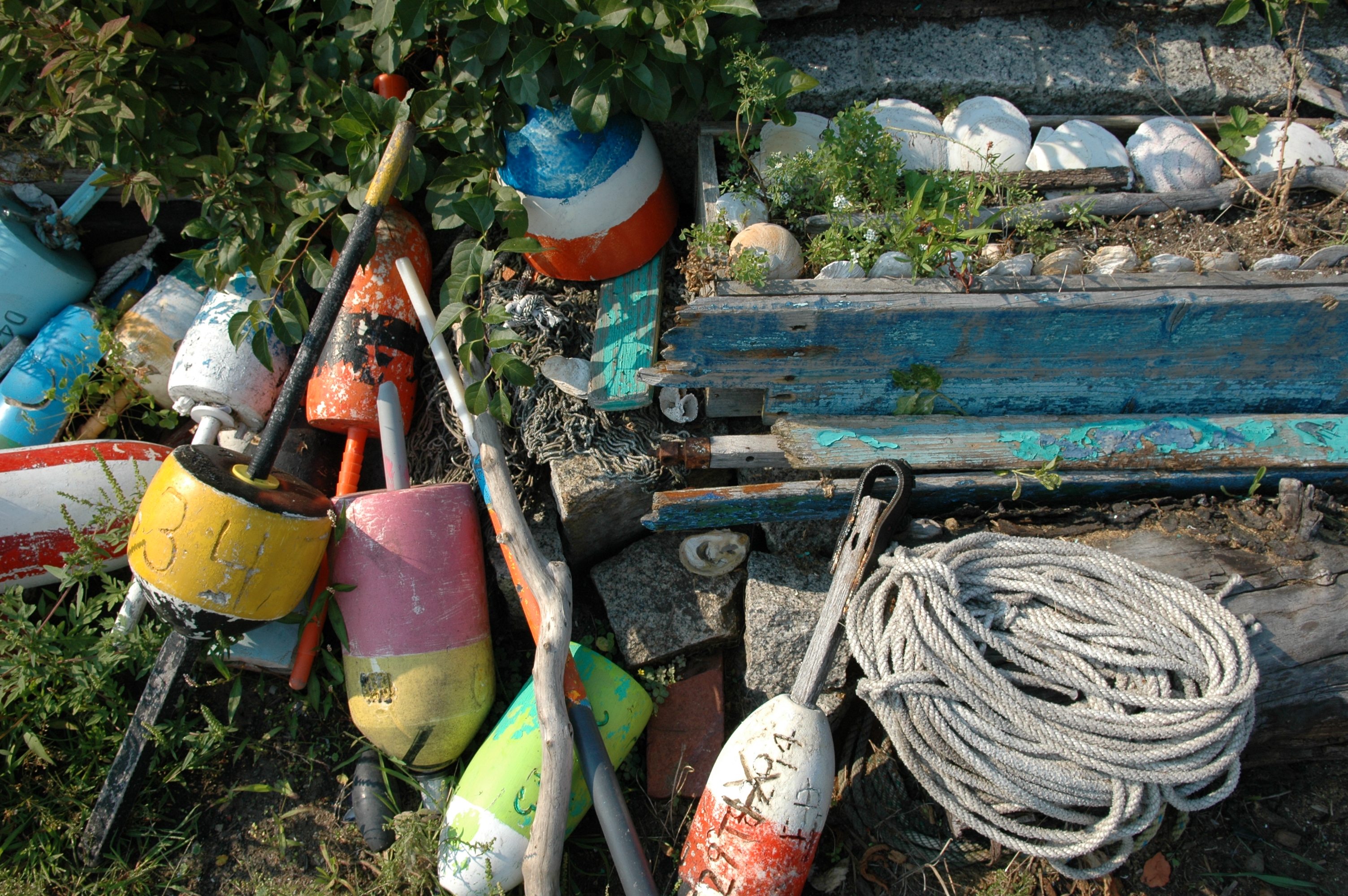 dsc_6204.jpg