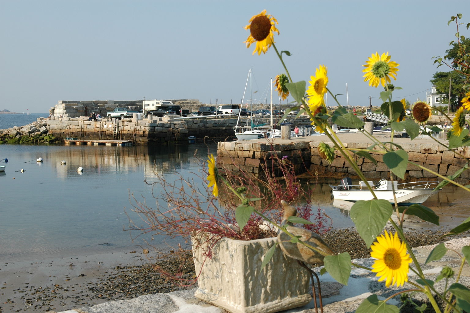 dsc_6272.jpg