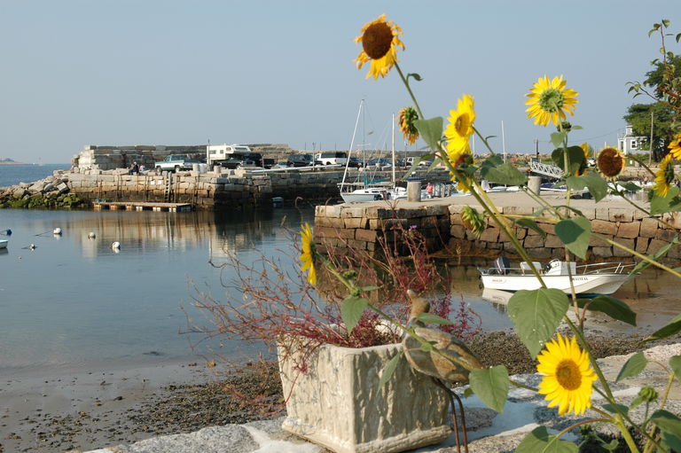 dsc_6272.jpg