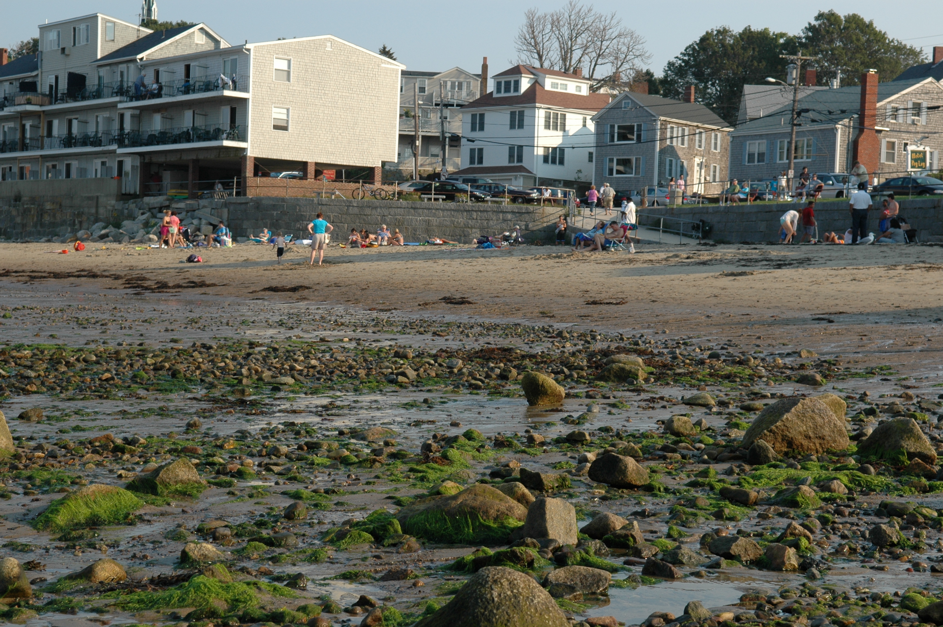 dsc_6298.jpg