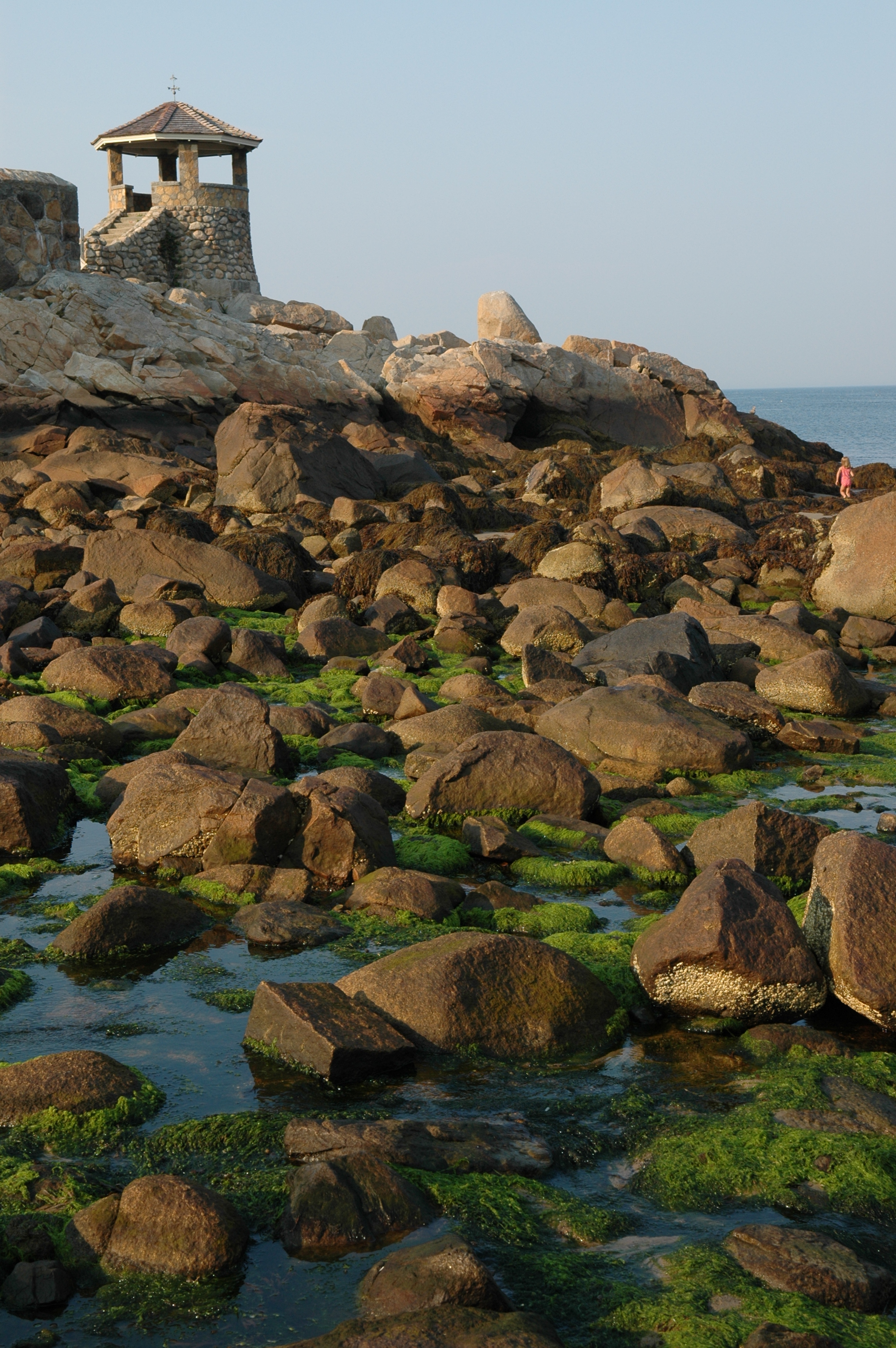 dsc_6303.jpg