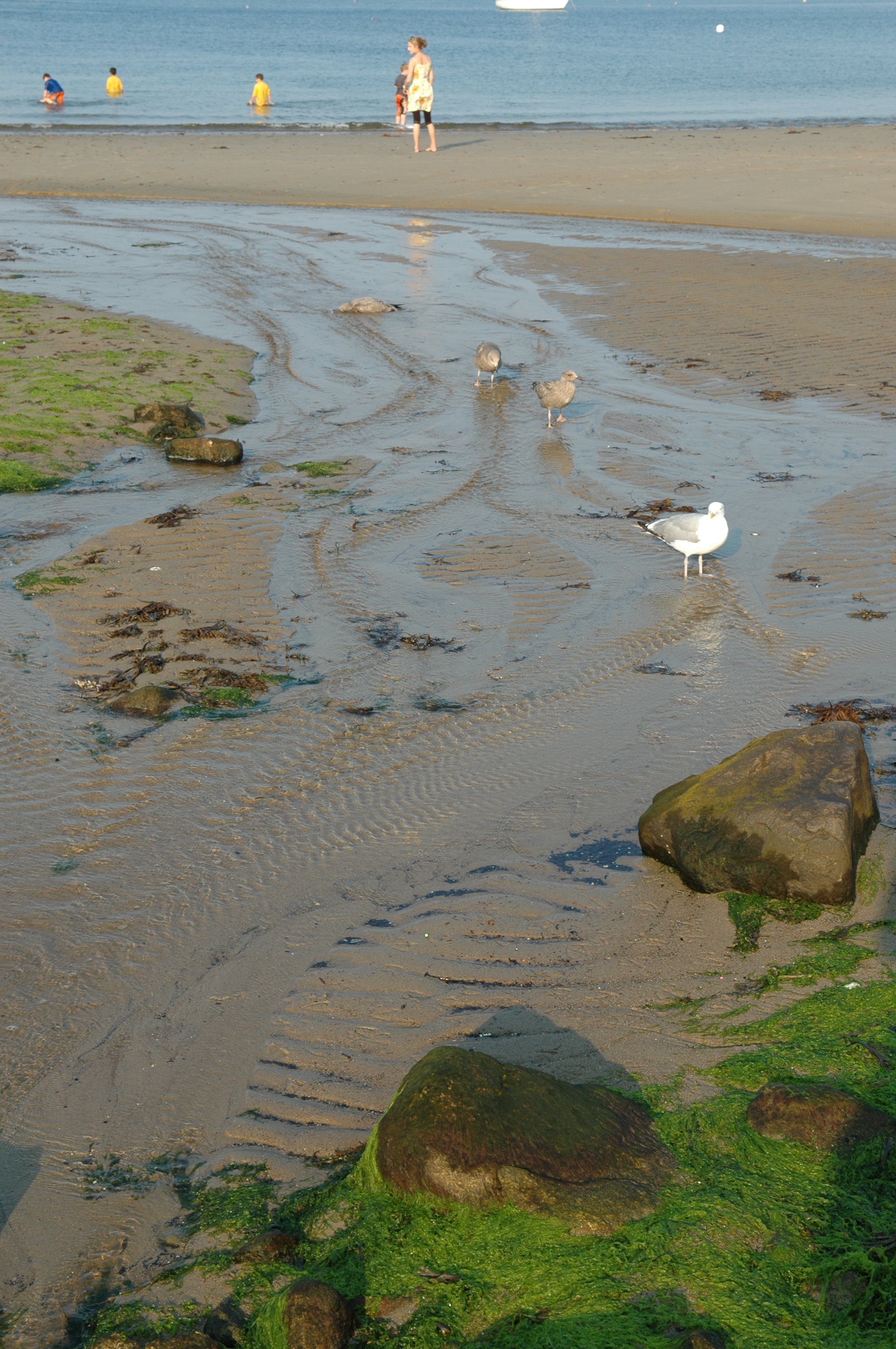 dsc_6307.jpg
