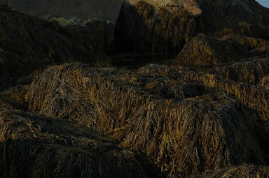 dsc_6329.jpg