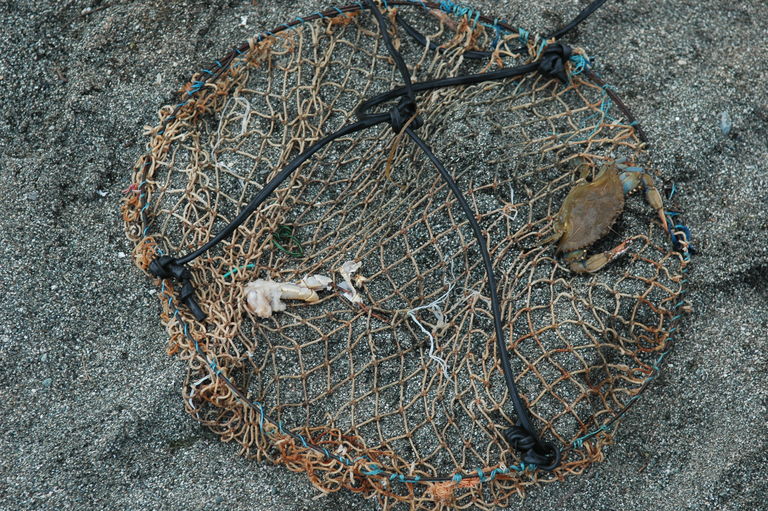 dsc_6727.jpg