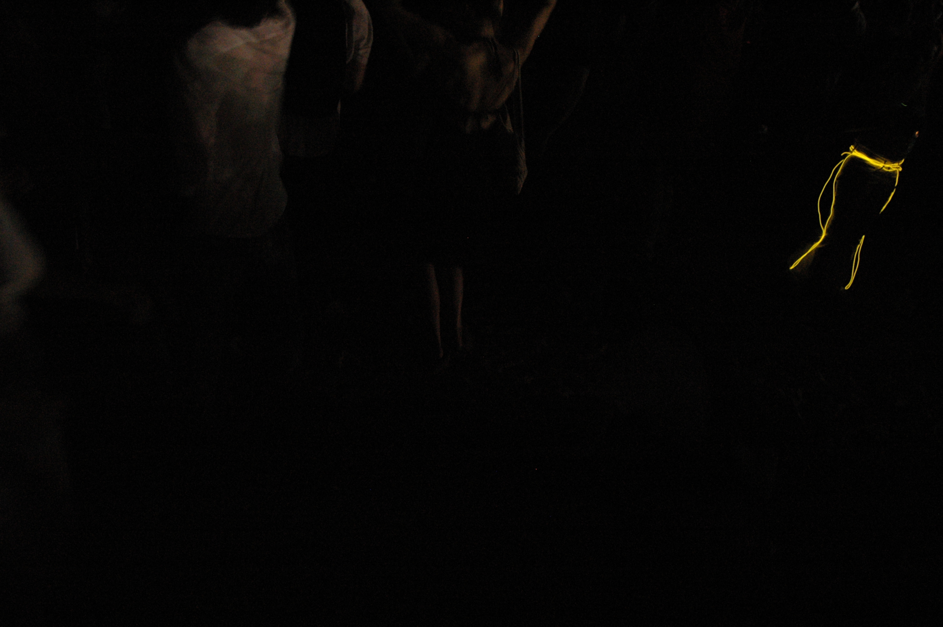 dsc_9021.jpg