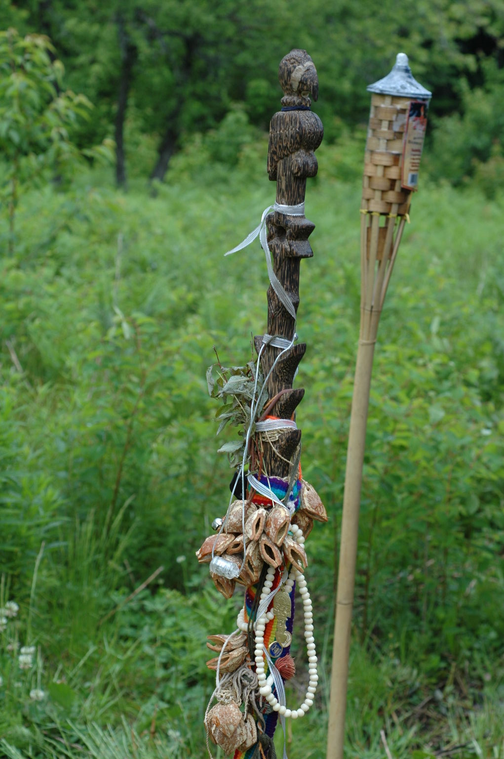 dsc_0719.jpg