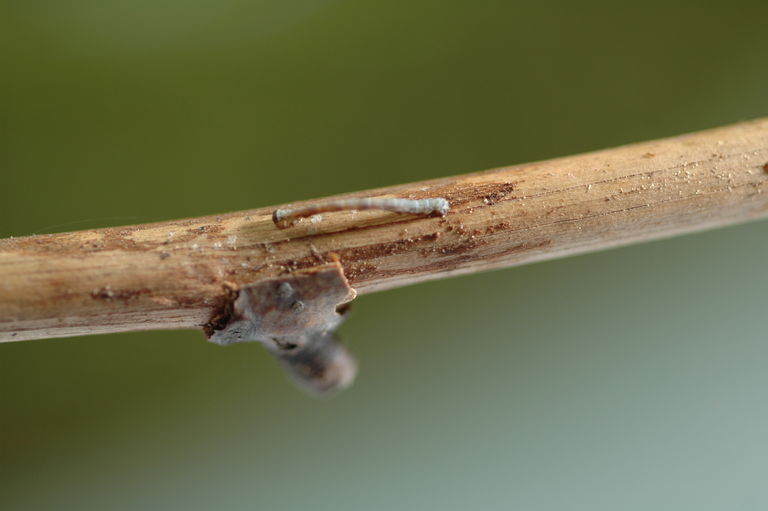 dsc_0846.jpg