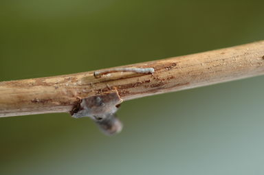 dsc_0846.jpg
