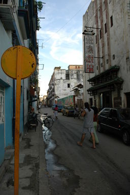 dsc_1742.jpg