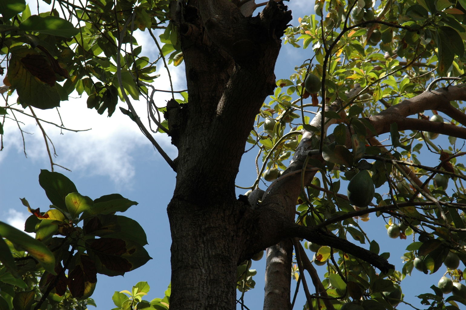 dsc_1835.jpg