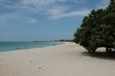 dsc_1837.jpg
