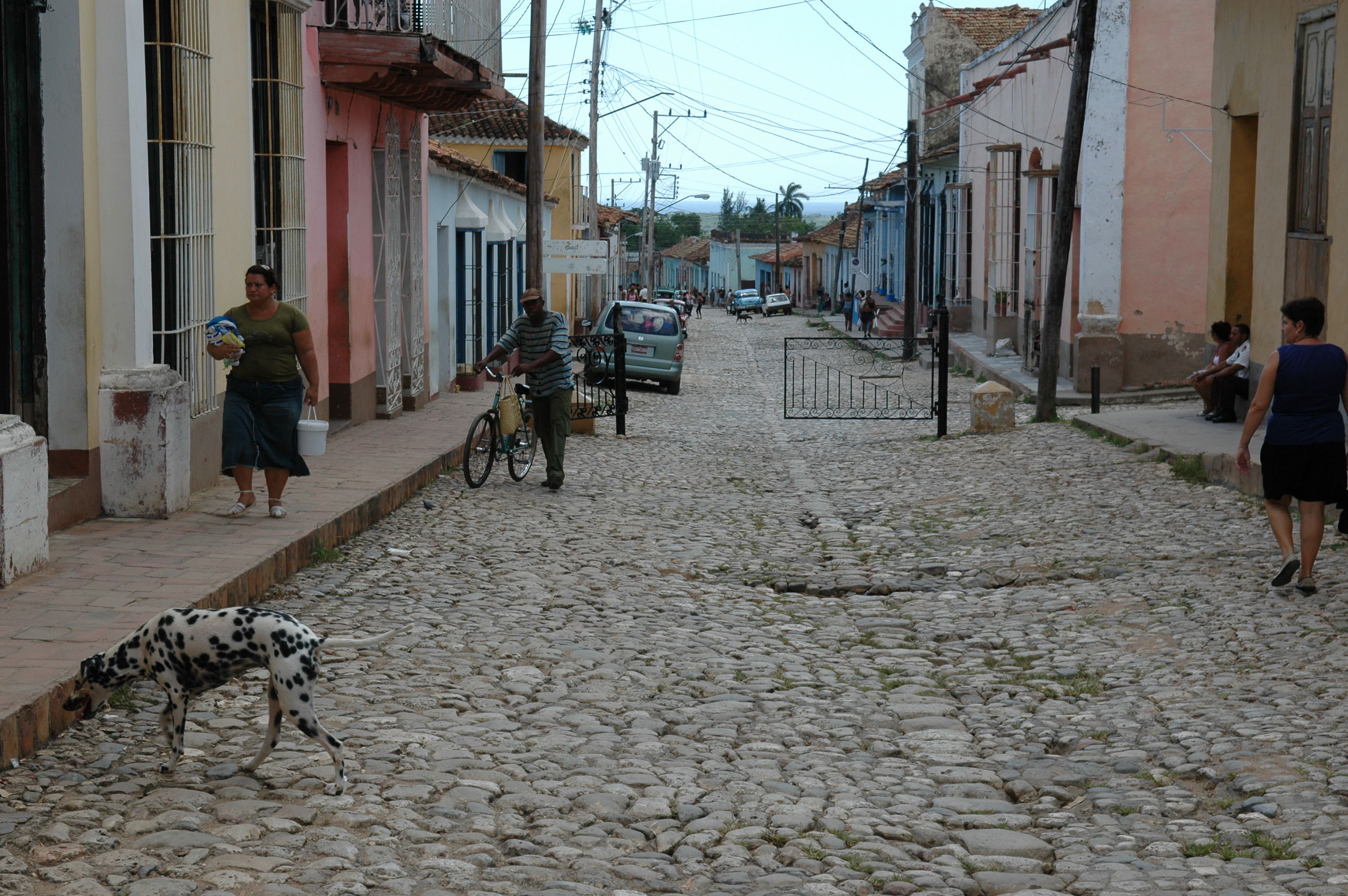 dsc_1907.jpg