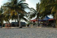 dsc_1974.jpg