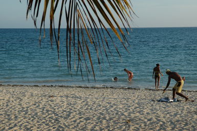 dsc_1984.jpg