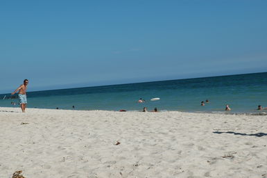 dsc_1998.jpg