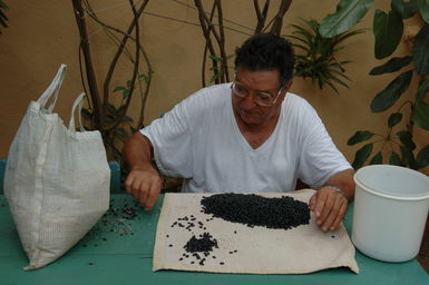 dsc_2007.jpg