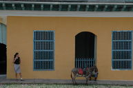 dsc_2025.jpg