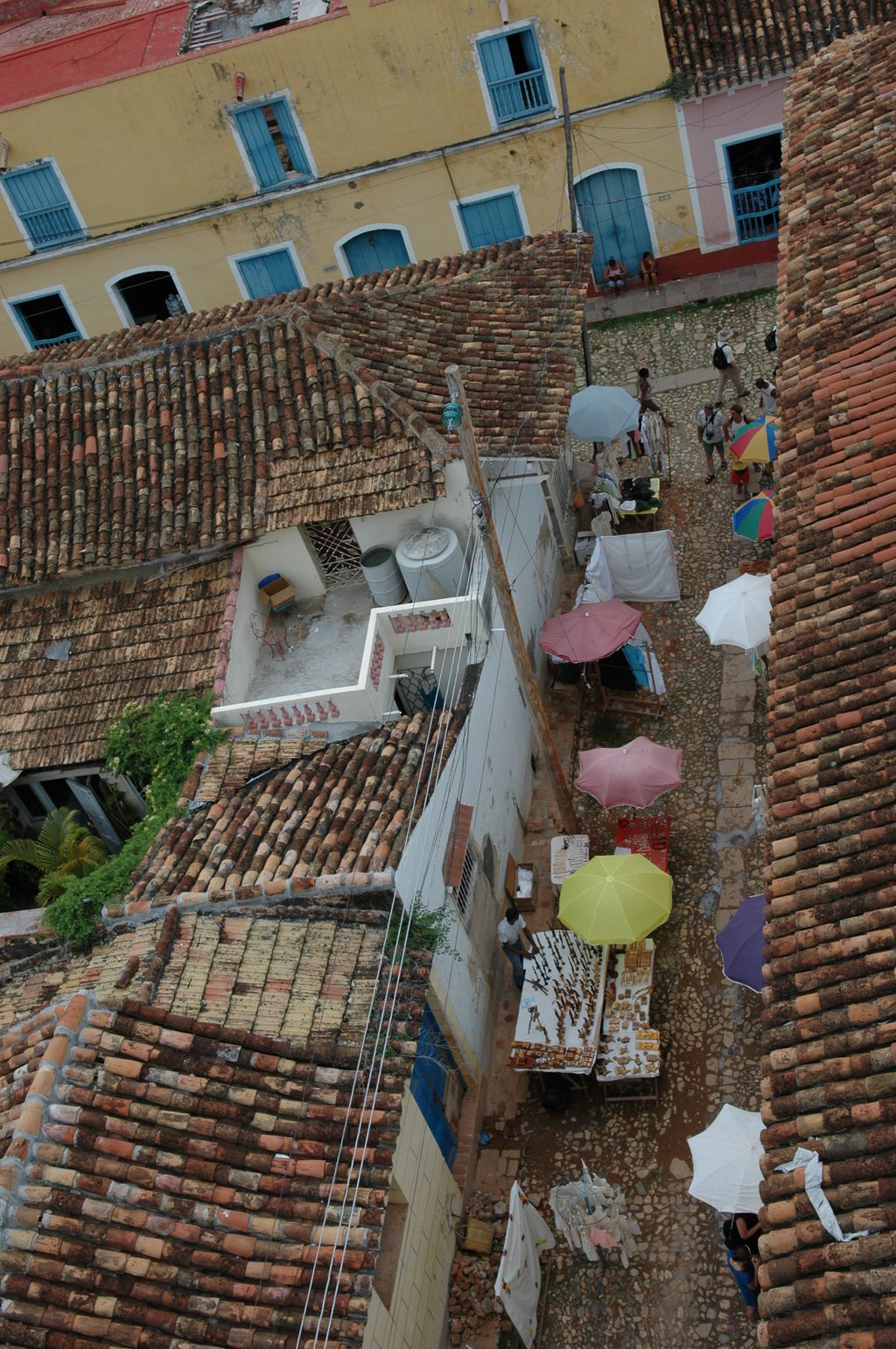 dsc_2060.jpg