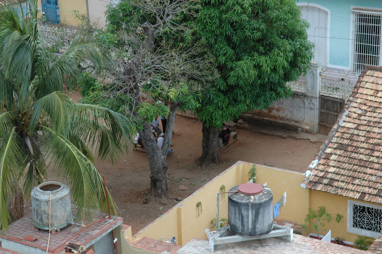 dsc_2061.jpg