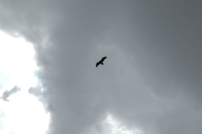 dsc_2076.jpg
