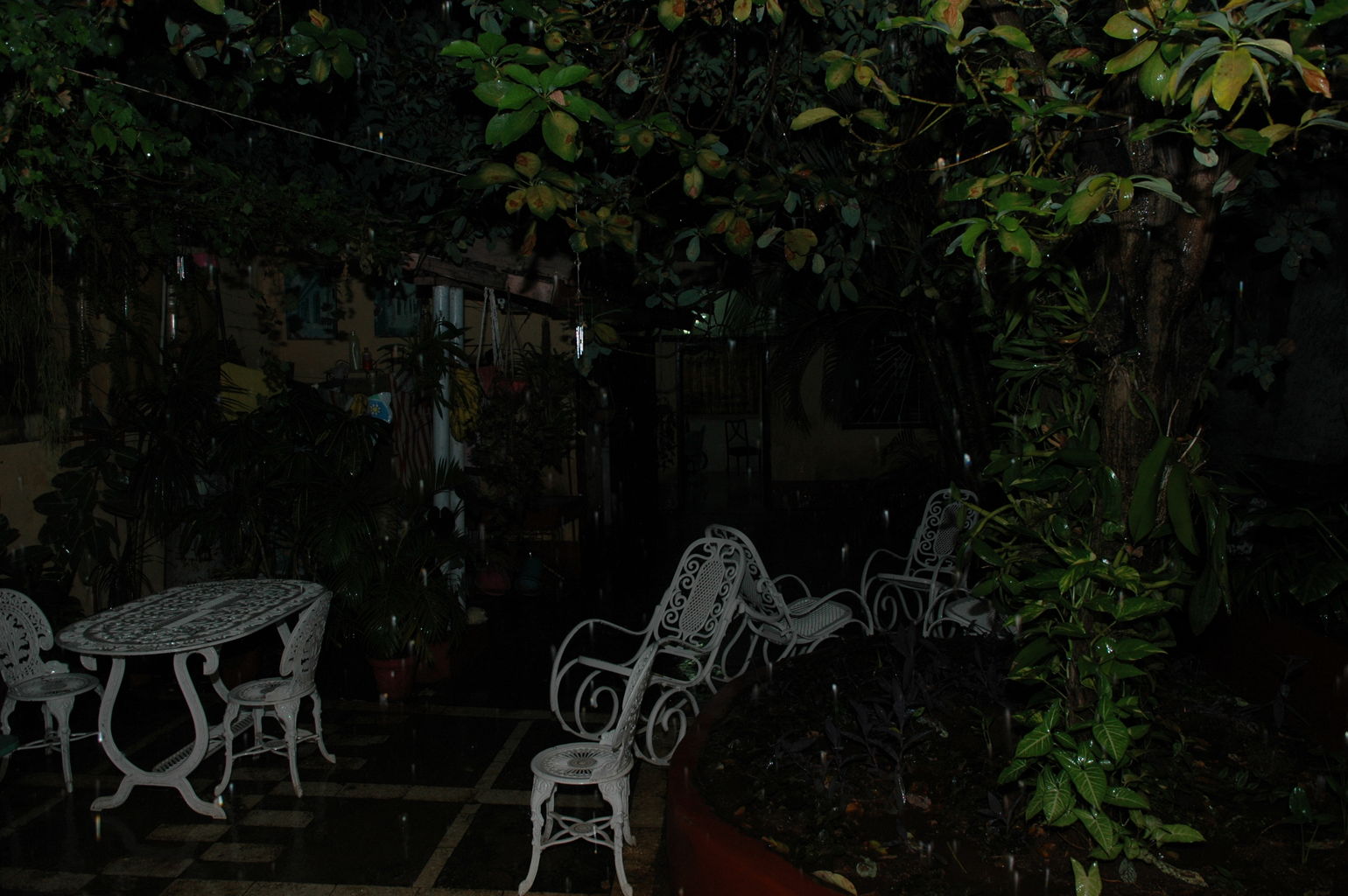 dsc_2107.jpg