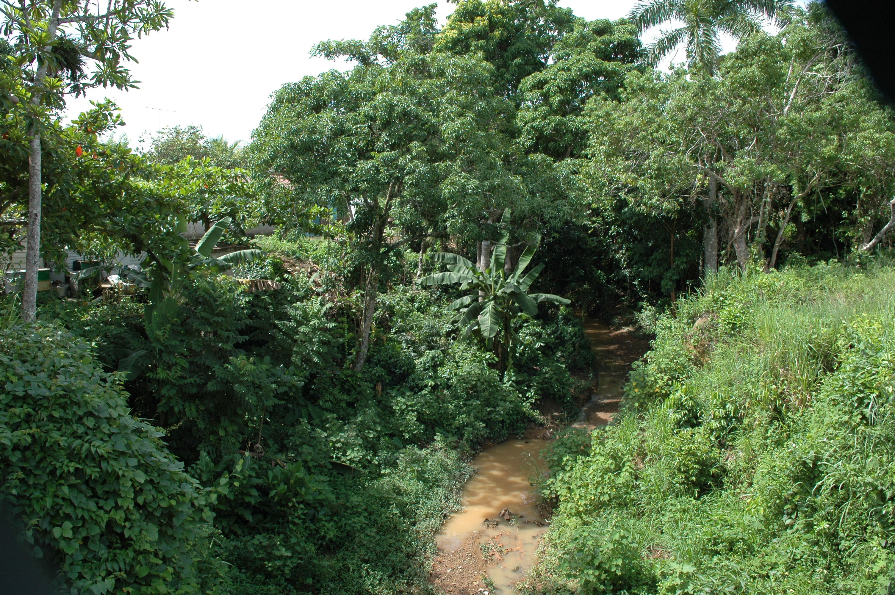 dsc_2161.jpg