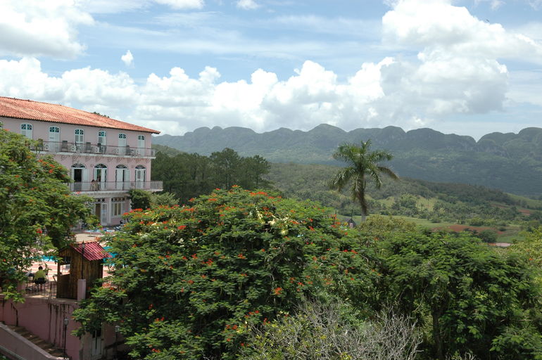 dsc_2193.jpg