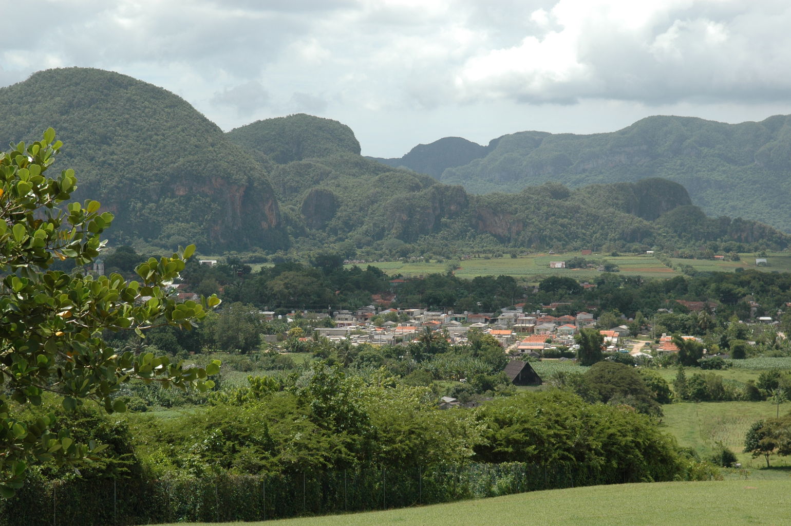 dsc_2201.jpg