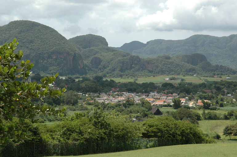 dsc_2201.jpg