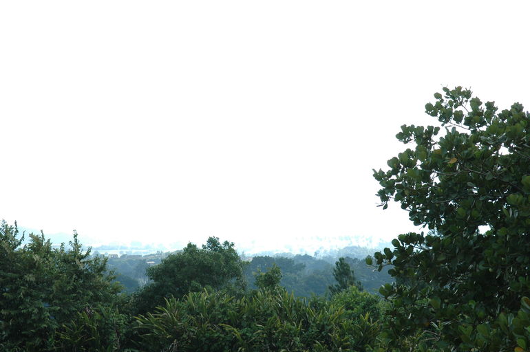 dsc_2211.jpg