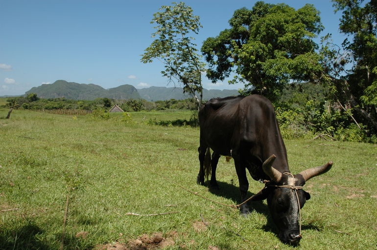 dsc_2241.jpg