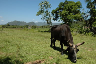 dsc_2241.jpg
