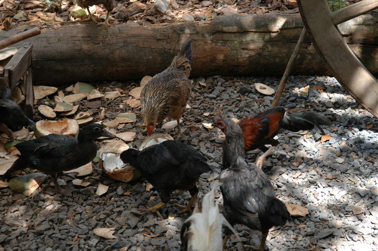 dsc_2321.jpg