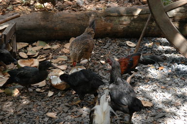 dsc_2321.jpg