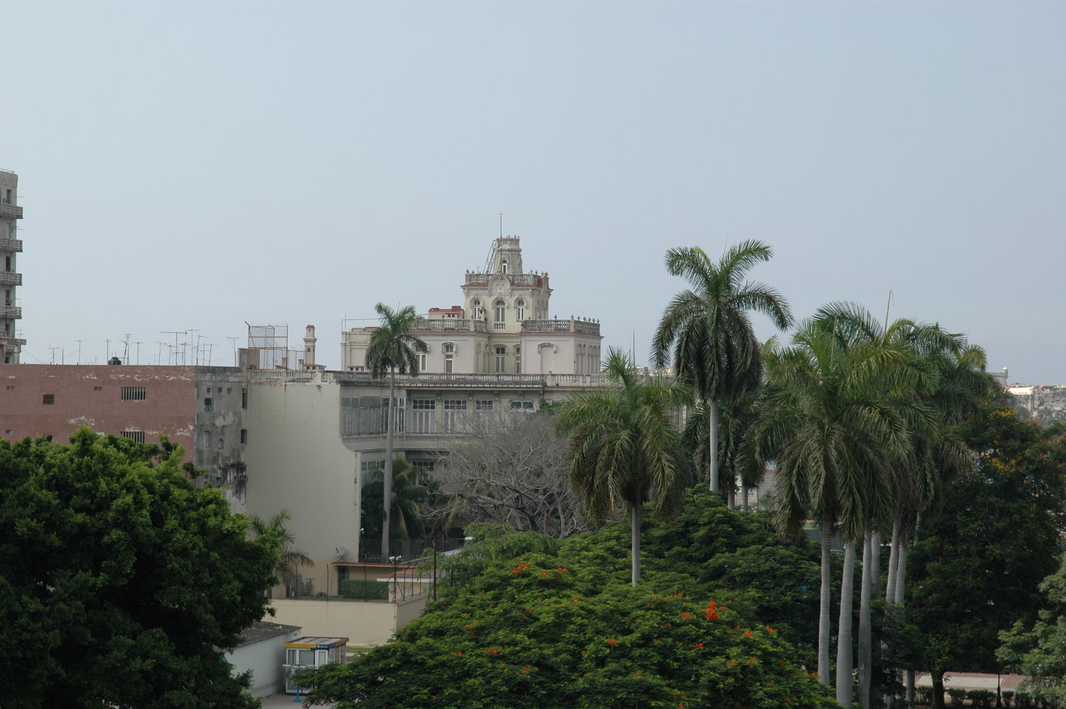 dsc_2383.jpg